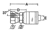 FJ-TTC