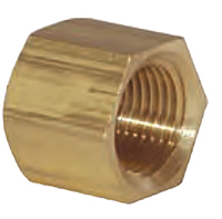 Brass NPT Pipe Cap