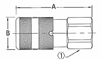 FD99 Series High Pressure Couplings (Female NPT) (FD99-1001-04-04)-2