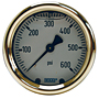 Brass Liquid Filled Gauge