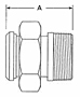 Plain Bevel Seat x Male NPT Adapters with Hex Nut-2