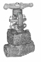 Gate Valves (forged Steel)