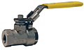 DSBV Ball Valve