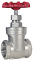 Gate Valve SS